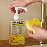 써니데이즈 반려동물 전용 주방세제 강아지 고양이 식기세척 : 페톰스