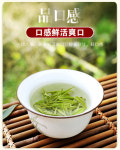 [2-20] 안길백차(고산녹차) 우전 청선회첨 절강 호주 특산 125g x 2 by 안길송희차창 : 운남상회 티다차이