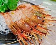 [진무수산] 독도꽃새우 500g 독도닭새우 급냉 울릉도제철 : 진무수산