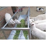 축사 송아지 사료통 염소 컨베이어 먹이 양 여물 새끼 농장 : 지구별판매자