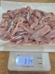 막회 청어회 동해안 막회 : 맛청년농수산
