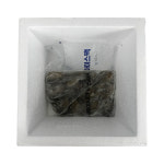 [신선창고] 선주 당일조업 활 급랭 탱탱 쭈꾸미 1kg : 신선창고1993