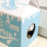 테비 플레이그라운드 스크래쳐 고양이 장난감 숨숨집 밀크하우스(흰우유), FREE(One size) : 주라 ZOORA