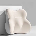 루미에도르 사무실 메모리폼 요추 등허리 받침대 : 케이트레이드솔루션