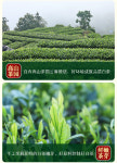[2-20] 안길백차(고산녹차) 우전 청선회첨 절강 호주 특산 125g x 2 by 안길송희차창 : 운남상회 티다차이