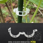 지브로샵 소형 오이집게 50개입 원예지지대 고정끈 고추집게 하우스농자재 : 지브로 샵