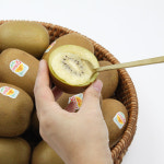 제스프리 썬 골드키위 점보키위 뉴질랜드 제주산 1kg 3kg 5kg 고당도 맛보장 : 산지직송농수산몰