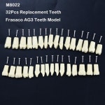 28pcs 이동식 Typodont 치아 치과 실습 교육 Frasaco AG3 ANA-4 모델과 호환되는 분리형 교체 : 샤메디컬