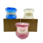 고품질 판매 치과 재료 교육 모델 자연 크기 M7001 화이트/블루/핑크 : 샤메디컬