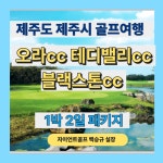 제주도골프패키지 블랙스톤cc 테디밸리 오라 부킹 2인가능 라운딩 올포함 : 자이언트 골프여행