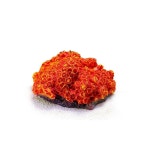 장식 바위 수족관 조경 동굴 파충류 해파리 나무 천연 거북이 훌륭한 건물 호빗 트럼펫 컬러 산호 : 더건재