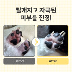 바이랩 강아지 눈곱 눈물자국 면봉 아이클리너 발사탕 피부 연고 민감 케어 2종 세트 : BYLAB