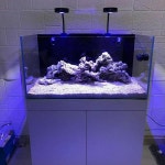 Spectra V2 나노 아쿠아 나이트 LED 조명  프로그래밍  일출 일몰  해양 산호초 해수 담수 수족관  36W : 올버몰