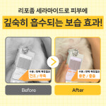 바이랩 강아지 세럼 미스트 피부 저자극 보습제 정전기 털엉킴 냄새 제거 50ml, 2개 : BYLAB