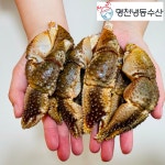 급냉 소라게발 1kg 특대 19-23미 대 26-30미 소 38~45미 : 명천냉동수산