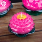 이에니 연등만들기 세트 연꽃등 연등재료 연잎 소원등 9호 오복(50개) : 이에니