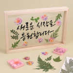 압화 나뭇잎 캘리그라피 줄기잎 말린 자연물 공예 재료 장식 누름꽃 1번 : 아이디몬