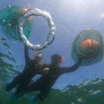 제주 도시해녀 해녀체험 / 제주도 스쿠버 수중촬영 실내 잠수 액티비티 해물라면 : 브이패스