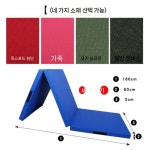 에어 매트 구르기 도장 주짓수 스트레칭 체육관 착지 운동 유도 체조 태권도 100x50x5 : 디레나스토어