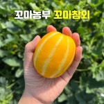 제일 좋은 성주 고당도 벌꿀 참외 소꼬마 품질 보장형 : 성주꼬마농장