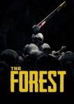 더 포레스트 The Forest (24시간 즉시발송 PC 스팀) NA : 24시게임샵