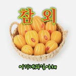 아삭 달콤한 참외 로얄과 (성주, 고령 등) : 이가네과일야채