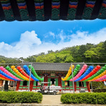 [강원] 인제 원대리 자작나무숲+홍천 수타사(산소길) 당일여행 / 트레킹 / 서울경기出 : 파랑새투어