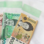 용돈비닐 용돈봉투 부모님 어버이날 이벤트 투명 지폐 100 : 에디트파이