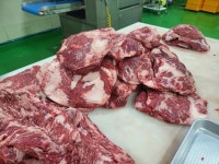 한우 1등급 소 한마리 소고기 세트 모듬 1.2kg 소고기 한판 : 어반농수산