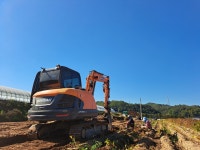 태산농장 2025 햇마 안동 북후 장마 가정용 5kg, 1개 : 태산농장