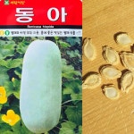 동아씨앗 10립 열매와씨모두 맛있는열매식물 동과씨앗 : 이파주