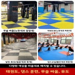 테크니컬 테이퍼드 태권도 마루패드 태권도 무술 도장 폼 테크니컬 테이퍼드 두꺼운 무술 도장 마루패드 마루패드 : Globalcenter