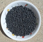 국산 서리태 강원도 철원 산지직송 1kg : 철원별난농장