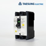 태성전기산업 TBE-52 50A 2P 산업용 누전차단기 : 주식회사 동승
