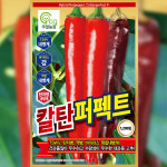 고추씨앗종자 칼탄퍼펙트 1200립 : 코코주말농장