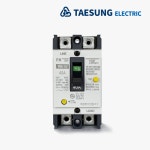 태성전기산업 TBE-52 40A 2P 산업용 누전차단기 : 주식회사 동승