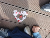 [세종- 6인] 12월 어린이 세종 숲체험 교실_원수산 달메뜰근린공원 : 모뽀리포레