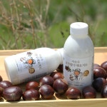 직장맘 어린이 이유식 이순주 수제 공주밤 요거트 500ml : 청신목장