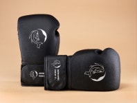 [LIMITED EDITION] 빅피쉬 글러브 14oz 복싱/ mma/ 킥복싱 : 빅피쉬코리아