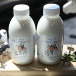직장맘 어린이 이유식 이순주 수제 무가당 요거트 500ml : 청신목장