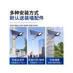 태양광 가로등 정원등 LED 시골길 마당 공원 방범 블랙 방수등 투광기 6m 자동점등 알루미늄케이스100W 가로소켓 : 주니안스토어1005