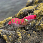 화신 오동목에기 키리에기 25년형 무늬오징어 에깅 수제 오동나무 에기 3호 S 001 핑크땡떙이 : 도원피싱