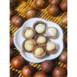 마카다미아 까는 도구 껍질 제거기 피칸 탈곡 스테인리스 호두 오프너 까는도구 견과류 마카다미아 한 봉지 : 후니메모리