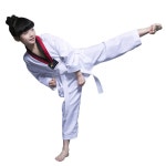 발차기도미노 근력 돌려차기 옆차기 발차기 태권도 도미노 : 파랑도리