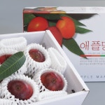 산도롱농장 제주 애플망고 2kg 3kg 1kg 국내산 서귀포 명품 과일 가정용 : 제주산도롱농원