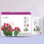 [행복앤거제천년초] 천년비결 천년초줄기열매100%추출액 100ml×60팩 무농약원료가공식품 : 거제몰