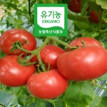 음봉 유기농 완숙토마토 1kg( 주 100kg 한정판매 ) : 신선한 캡틴네 마당
