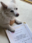 2TAILS투테일즈 개린이날 고구마쿠키 상장 선물 : 2tails 투테일스