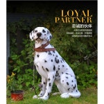 강아지 장식 모형 장식품 대형 개업 조각상 동물병원 인테리어 : 착한구대포