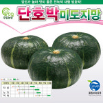 단호박씨앗 미도지망 400립 : 코코주말농장